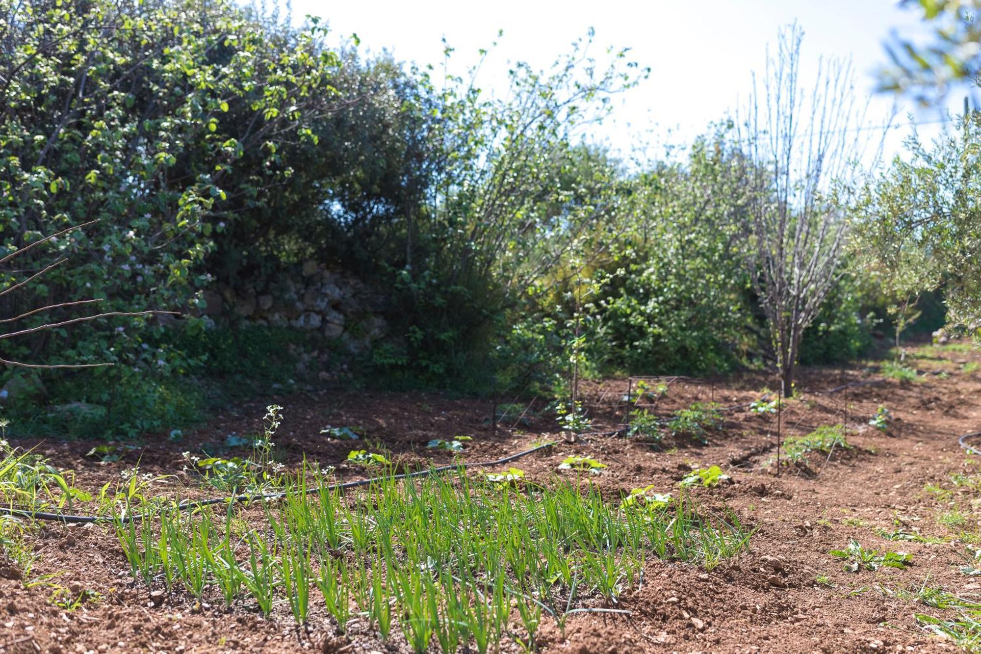 Вілла Eden'S Garden Skouloufia Екстер'єр фото